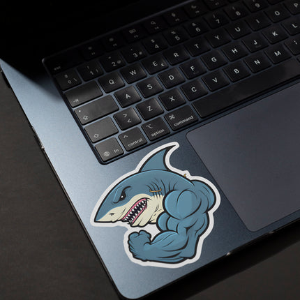 MUSCULAR SHARK
