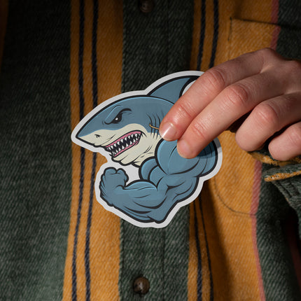 MUSCULAR SHARK