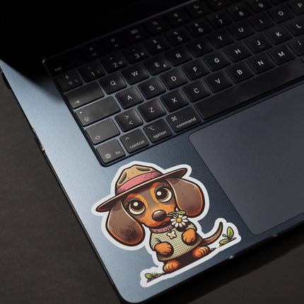 CUTE DACHSHUND