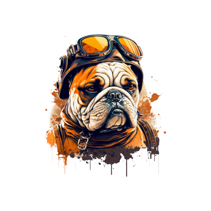 COOL BULLDOG