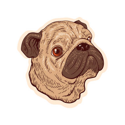 CUTE PUG DOG