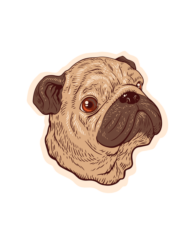 CUTE PUG DOG